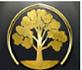 Golden Goldsboro Tree Services in Goldsboro, NC Tree & Shrub Transplanting & Removal