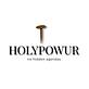Holy Powur in Westchase - Houston, TX Roofing Contractors