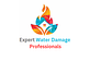 Expert Water Damage Professionals in Rochester, MN Fire & Water Damage Restoration
