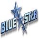 Blue Star Products in Hauppauge, NY Automotive Windshields