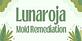 Lunaroja Mold Remediation in Port Charlotte, FL Molds