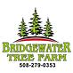 Bridgewater Tree Farm in Bridgewater, MA Tree & Shrub Transplanting & Removal