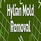 Hylian Mold Removal in Cape Coral, FL Plastic Mold Manufacturers