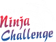 USA Ninja Challenge in East Rochester, NY Fitness Centers