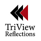 TriView Reflections in Freeport, NY Glass Auto, Float, Plate, Window & Doors