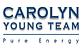 Carolyn Young Team - Realtor - Leesburg, VA in Leesburg, VA Real Estate