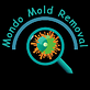 Dallas, TX - Mondo Mold Removal in North Dallas - Dallas, TX Fire & Water Damage Restoration