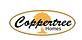 Coppertree Homes in Plain City, OH Construction Services