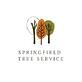 Springfield Tree Service Pros in Springfield, IL Tree & Shrub Transplanting & Removal