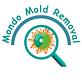 Wilmington, NC - Mondo Mold Removal in Wilmington, NC Fire & Water Damage Restoration