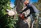 Eagle Tree Service in Eagle, ID Tree & Shrub Transplanting & Removal