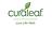 Curaleaf Dispensary Boca Raton West in Boca Raton, FL