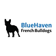 Bluehaven French Bulldogs in Brigham, CA Pet Supplies
