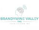 Brandywine Valley TMS in Wilmington, DE Mental Health Clinics