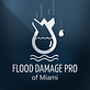 Flood Damage Pro of Miami in Overtown - Miami, FL Fire & Water Damage Restoration