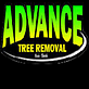 Advance Tree Removal in Ocala, FL Gas Stations