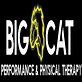 Physical Therapy Equipment in North Canton, OH 44720
