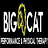 Big Cat Performance & Physical Therapy in North Canton, OH