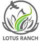 Lotus Ranch in Wimberley, TX Yoga Instruction