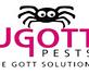 Ugott Pest Control in Park Stockdale - Bakersfield, CA Pest Control Services