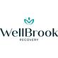 Wellbrook Recovery: Addiction Treatment Center In Wisconsin in Brookfield, WI Addiction Services (Other Than Substance Abuse)