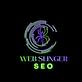 Web Slinger SEO in Cleburne, TX Web-Site Design, Management & Maintenance Services