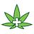 PA Brain Doc -- Medical Marijuana Telemedicine in Pennsylvania in Philadelphia, PA