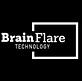 Brain Flare Technology in Casper, WY Web-Site Design, Management & Maintenance Services