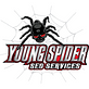 Young Spider SEO And Digital Marketing in Oakland-Winchell - Kalamazoo, MI Marketing & Sales Consulting