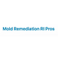 Mold Remediation RI Pros in Providence, RI Snow Removal Service