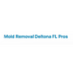 Mold Removal Deltona FL Pros in Deltona, FL Snow Removal Service