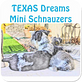 Circle R/ Texas Dreams in Comanche, TX Pet Grooming & Boarding Services