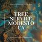 Tree Service Modesto CA in Modesto, CA Tree & Shrub Transplanting & Removal