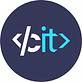 CodingIT in Cedar park, TX Information Technology Services