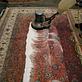 Pacific Rug Care in Alhambra, CA Cleaning Systems & Equipment