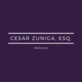 Cesar Zuniga, Esq., Attorney at Law in Yonkers, NY Legal Professionals