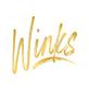 Winks Photo Booth in Ashton Heights - Arlington, VA Party Equipment & Supply Rental