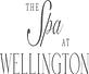 The Spa at Wellington in Indian Hills-Stonewall Estates-Monticello - Lexington, KY Day Spas