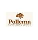 Pollema Counseling Center, PLLC in City Park - Denver, CO Mental Health Specialists