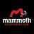 Mammoth Restoration | Kingman Branch in Flagstaff, AZ