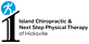 Island Chiropractic & Next Step Physical Therapy in Hicksville, NY Physical Therapists