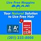 Lice Free Noggins DC - Natural Lice Removal and Lice Treatment Service in Berwyn Heights, MD Health And Medical Centers