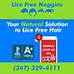 Lice Free Noggins Bronx - Natural Lice Removal Treatment in Country Club - Bronx, NY Health And Medical Centers