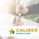 Caliber Payday Loans in San Antonio, TX Financial Services