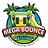 Mega Bounce Rentals in Houston, TX
