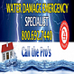 Water Damage Cleanup Pros of Edison in Edison, NJ Fire & Water Damage Restoration