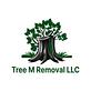Tree M Removal in Wendell, NC Tree & Shrub Transplanting & Removal