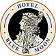 Blue Moon Hotel in Lower East Side - New York, NY Hotels & Motels