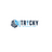 Tricky websolutions - Blockchain Development Company in Baton Rouge, LA