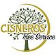 Cisneros Tree Services in Omaha, NE Tree & Shrub Transplanting & Removal